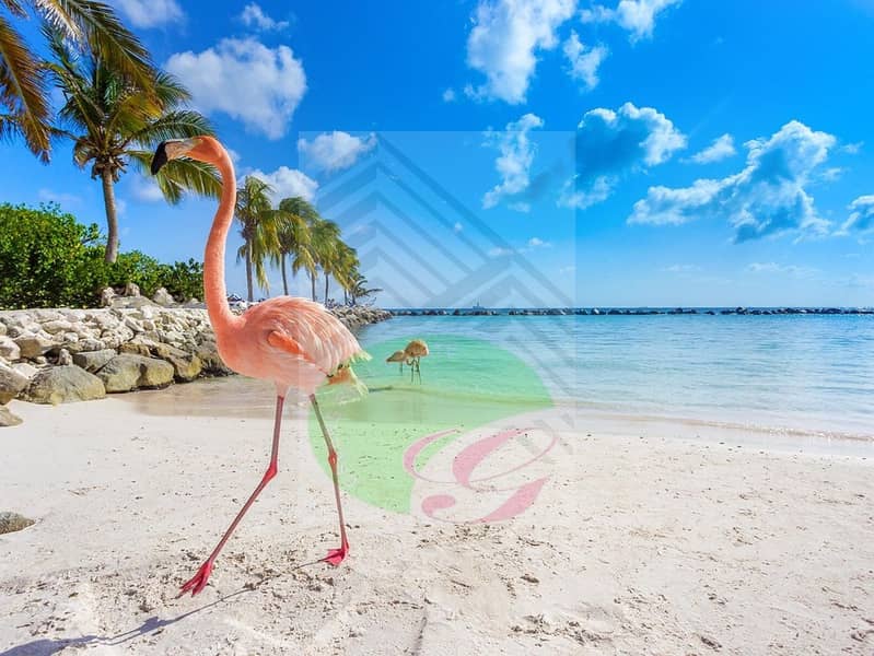 23 HERO-shutterstock_570470086. jpg