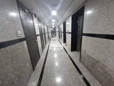 Studio for Rent in Mohamed Bin Zayed City, Abu Dhabi - IMG-20250626-WA0572. jpg
