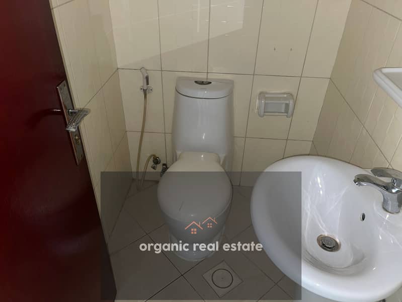 4 IMG_8019. jpeg