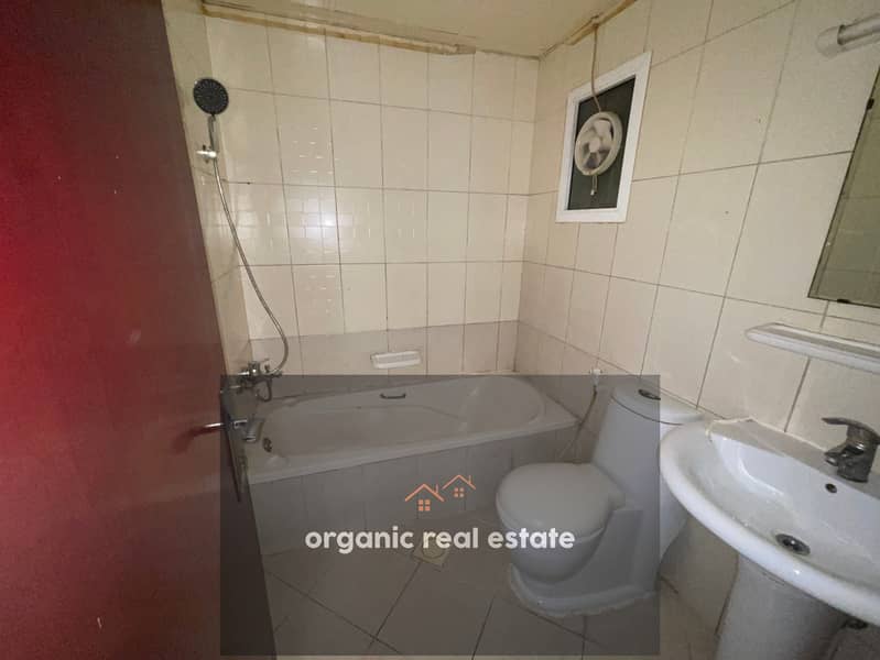 7 IMG_8025. jpeg