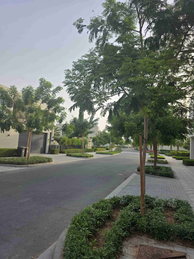 6 1000164620. jpg