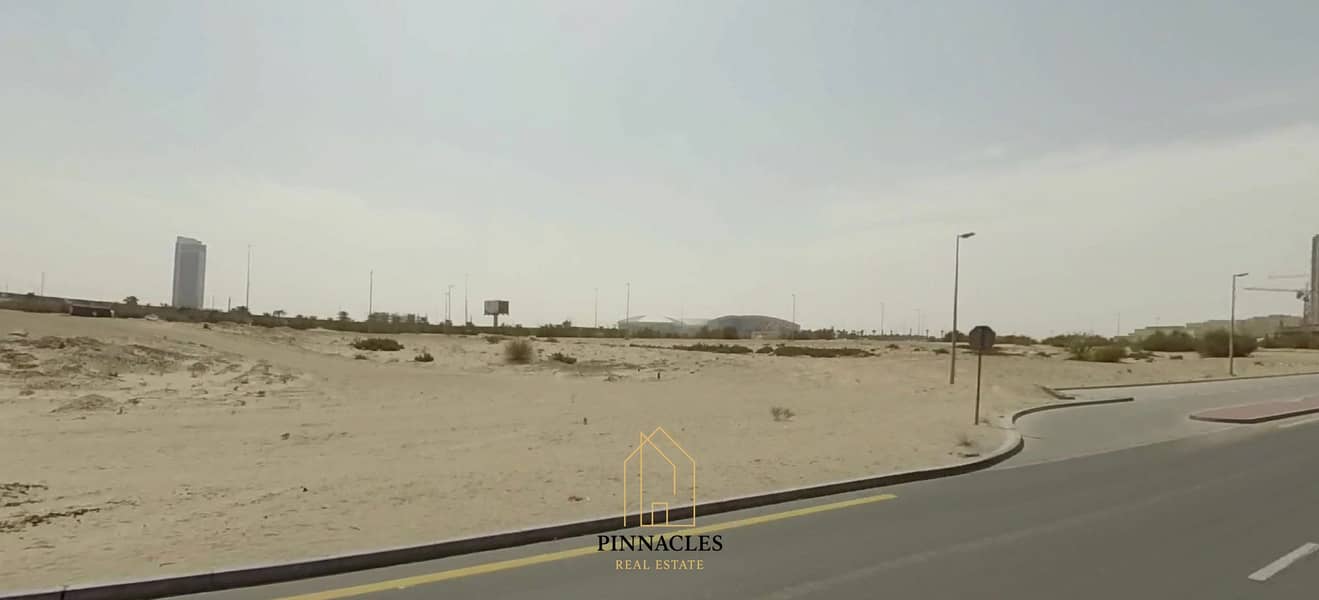 6 IMG_0141. jpeg