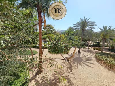 2 Bedroom Apartment for Rent in The Gardens, Dubai - 20250405_141518. jpg