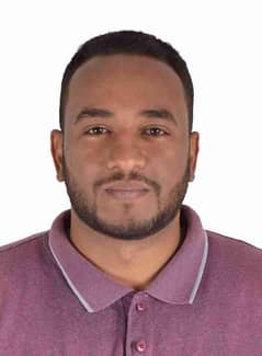 Ihab Abdelhafiz Mohamed