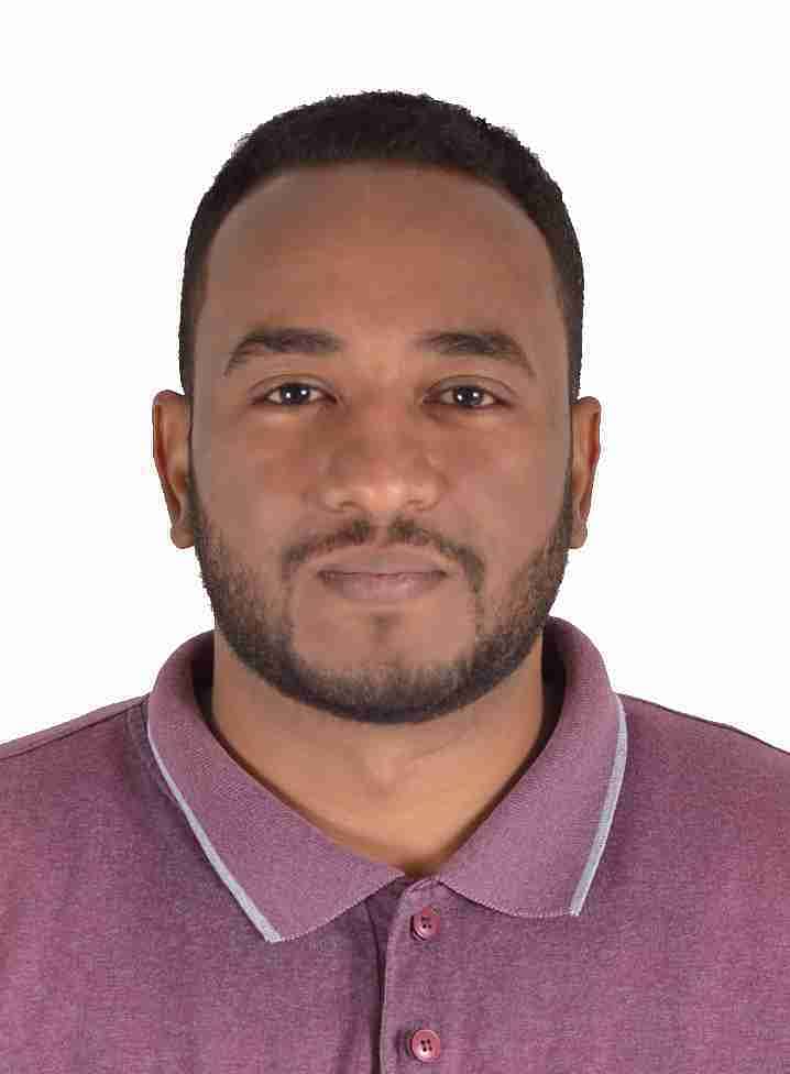 Ihab Abdelhafiz Mohamed
