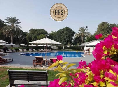 2 Bedroom Apartment for Rent in The Gardens, Dubai - IMG_3402. jpg