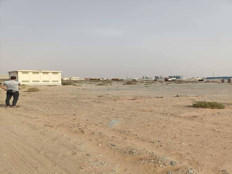 5 B. jpg