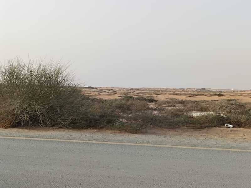 6 رررررلا. jpg