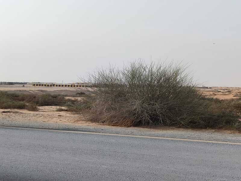 7 عتاغ. jpg