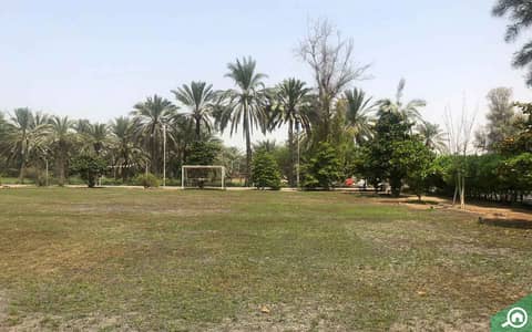Plot for Sale in Al Helio, Ajman - Al-Helio-1-_-Abdul-Rahim-Garden-11-11-22AR123. jpg