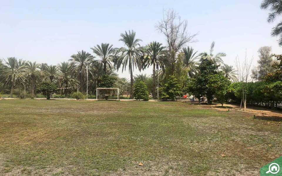 Al-Helio-1-_-Abdul-Rahim-Garden-11-11-22AR123. jpg