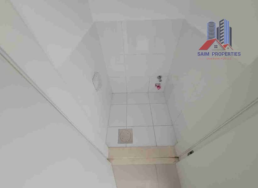 12 1000047115. jpg
