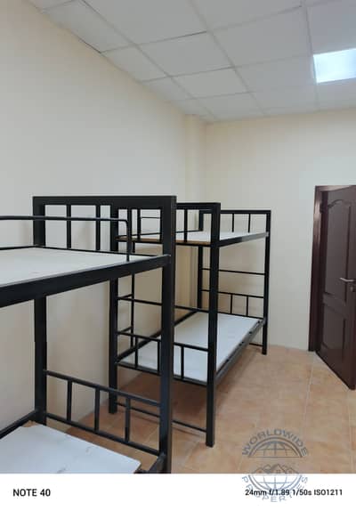 Labour Camp for Rent in Al Jurf, Ajman - IMG_20250622_174137_710. jpg