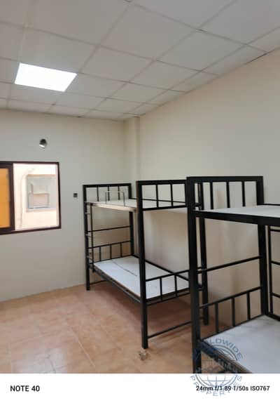 Labour Camp for Rent in Al Jurf, Ajman - IMG_20250622_174121_581. jpg