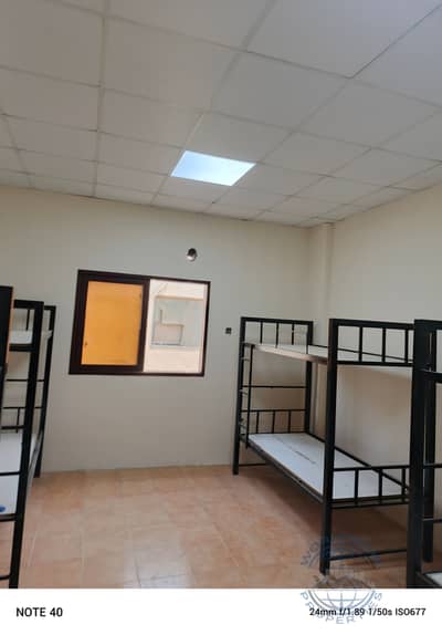 Labour Camp for Rent in Al Jurf, Ajman - IMG_20250622_174127_560. jpg