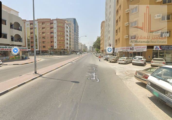 النخيل1. png النخيل1. png
