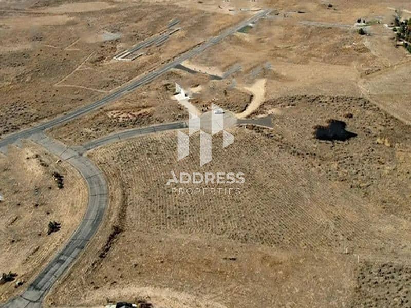 4 صورة واتساب بتاريخ 2024-08-04 في 12.59. 05_cdff74c3. jpg