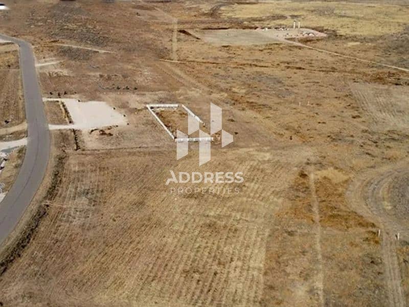 19 صورة واتساب بتاريخ 2024-08-04 في 12.59. 06_e8c6741e. jpg