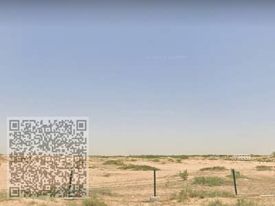 Industrial Land for Sale in Al Hamriyah, Sharjah - صورة واتساب بتاريخ 1446-12-06 في 21.45. 21_14385fa3. jpg