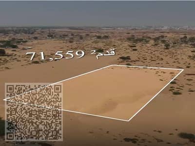 Plot for Sale in Al Salamah, Umm Al Quwain - صورة واتساب بتاريخ 1446-08-17 في 12.09. 31_3b18e7a2. jpg