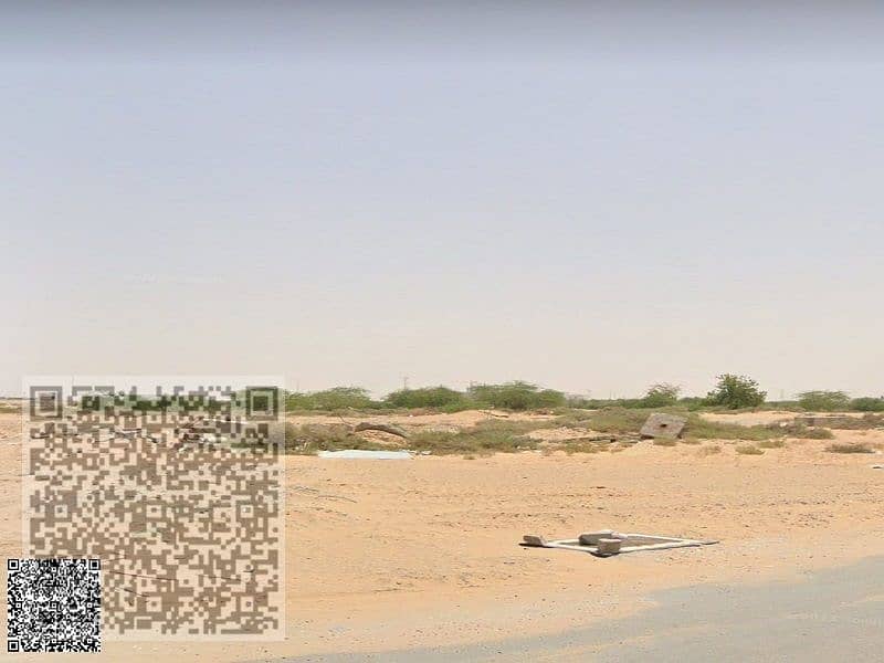2 صورة واتساب بتاريخ 1446-06-23 في 12.38. 44_a10ffac1. jpg