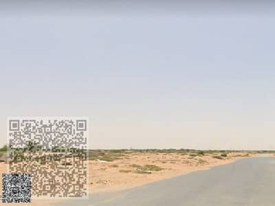 Plot for Sale in Al Jurf, Ajman - صورة واتساب بتاريخ 1446-06-23 في 12.38. 44_86ad3234. jpg