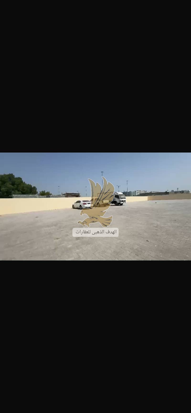 8 IMG_0870. png