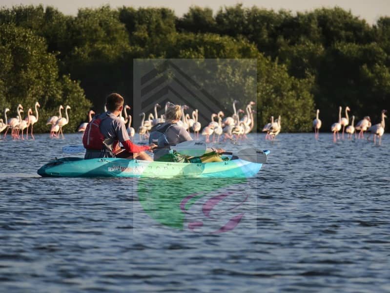 16 Kayaking_in_the_Al_Zorah_Mangroves_with_Flamingos. jpg