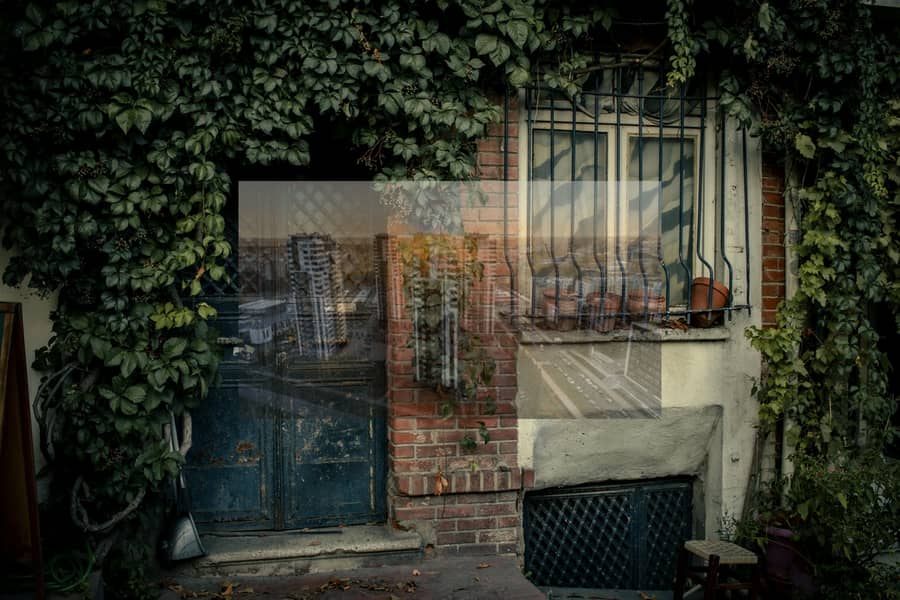 pexels-zeynep-sude-emek-193601188-13259519. jpg