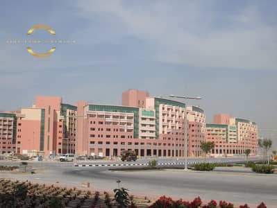 1 Bedroom Apartment for Sale in Discovery Gardens, Dubai - zen2. jpg