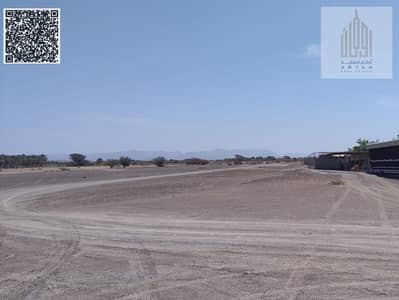 Plot for Sale in Al Manama, Ajman - WhatsApp Image 2025-05-14 at 9.52. 54 AM (1). jpeg