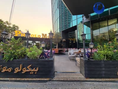 2 Bedroom Apartment for Rent in Sheikh Zayed Road, Dubai - IMG-20250630-WA0017. jpg