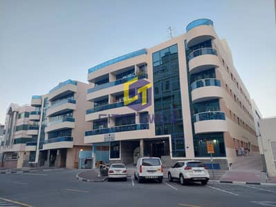 استوديو  للايجار في بر دبي، دبي - شقة في أم هرير 1،أم هرير،بر دبي 45000 درهم - 7545333
