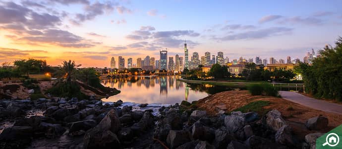 Top reasons to buy luxury property in Dubai