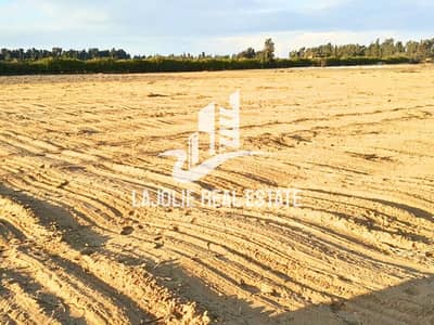 Industrial Land for Rent in Al Dhafrah, Abu Dhabi - 01_07_2025-10_25_29-3594-e6874d4bd5bfe338847c15f87067ed3e. png