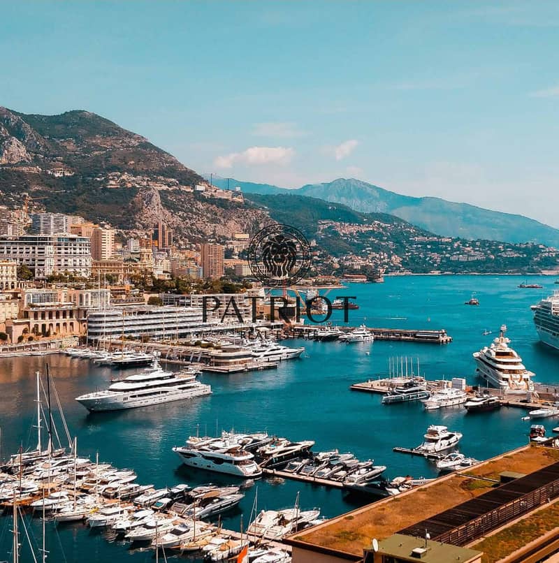 11 Monte_Carlo_Damac_Lagoons_page-0002. jpg
