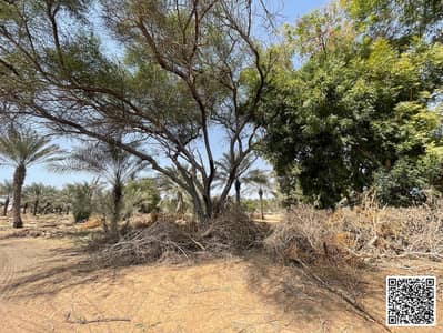 Plot for Sale in Al Zahya, Ajman - 2de34172-0d0a-40ef-b4f4-3784d9e1bb0d. jpg