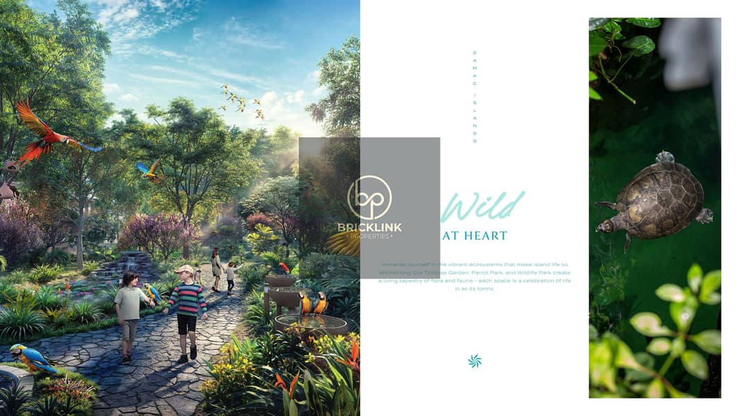 6 DAMAC ISLANDS Digital Brochure EN_TRIMMED_241118_173247-23-1. jpg