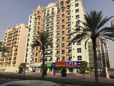 شقة في ريفيرا دريم منطقة مركز الأعمال المدينة العالمية 2 غرف 48000 درهم - 4212199 شقة في ريفيرا دريم منطقة مركز الأعمال المدينة العالمية 2 غرف 48000 درهم - 4212199