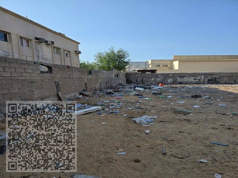 5 صورة واتساب بتاريخ 2024-11-25 في 15.58. 56_ce420260. jpg