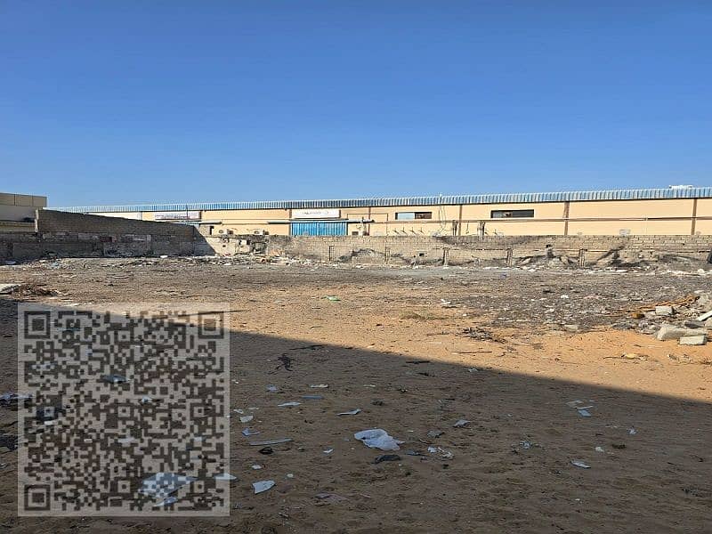 6 صورة واتساب بتاريخ 2024-11-25 في 15.58. 57_9b96418b. jpg