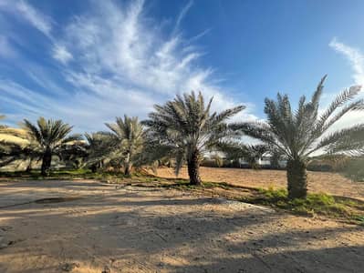 مجمع سكني  للبيع في الزاهية، عجمان - WhatsApp Image 2025-07-01 at 5.05. 56 PM. jpeg