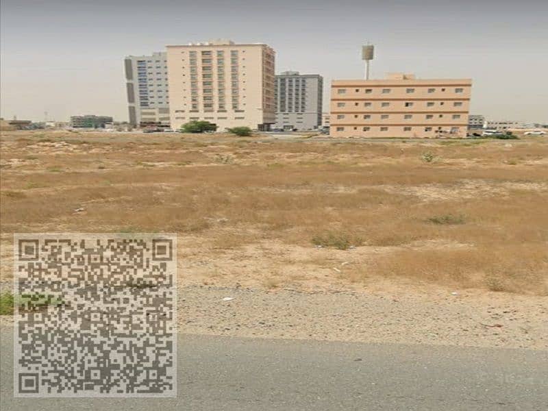 5 صورة واتساب بتاريخ 2024-11-23 في 23.49. 53_c5d31832. jpg