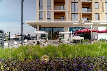 Studio for Sale in Muwaileh, Sharjah - arabica-yoghurtland-jpg. jpeg