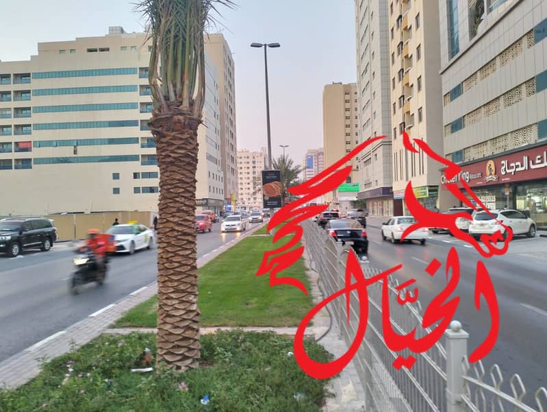 9 WhatsApp Image 2024-06-30 at 9.11. 53 AM. jpeg
