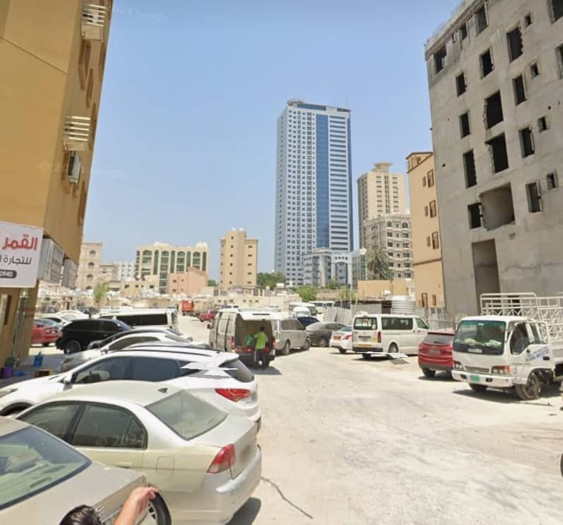 صورة النخيل 1. jpg صورة النخيل 1. jpg