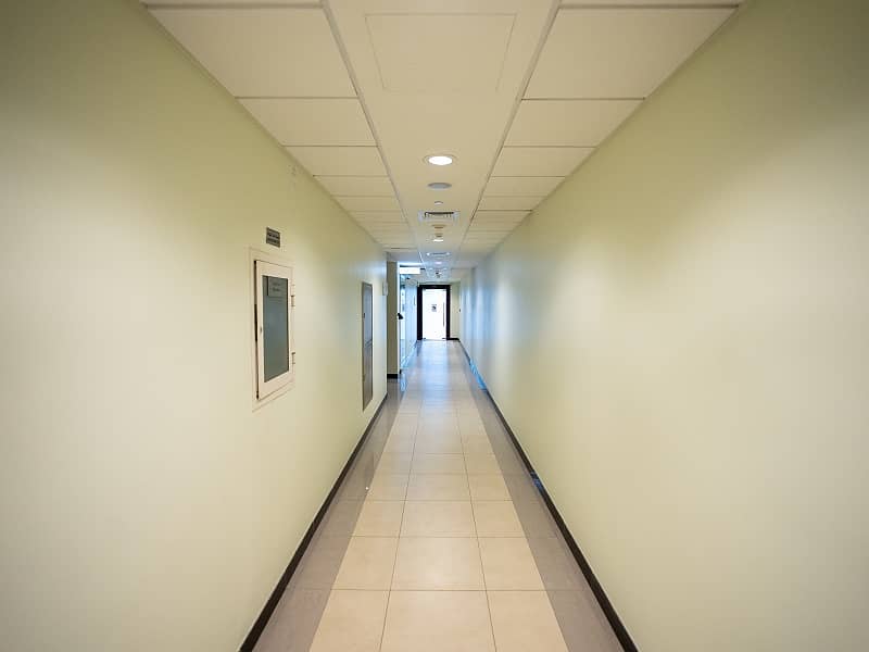 2 MS202168. jpg