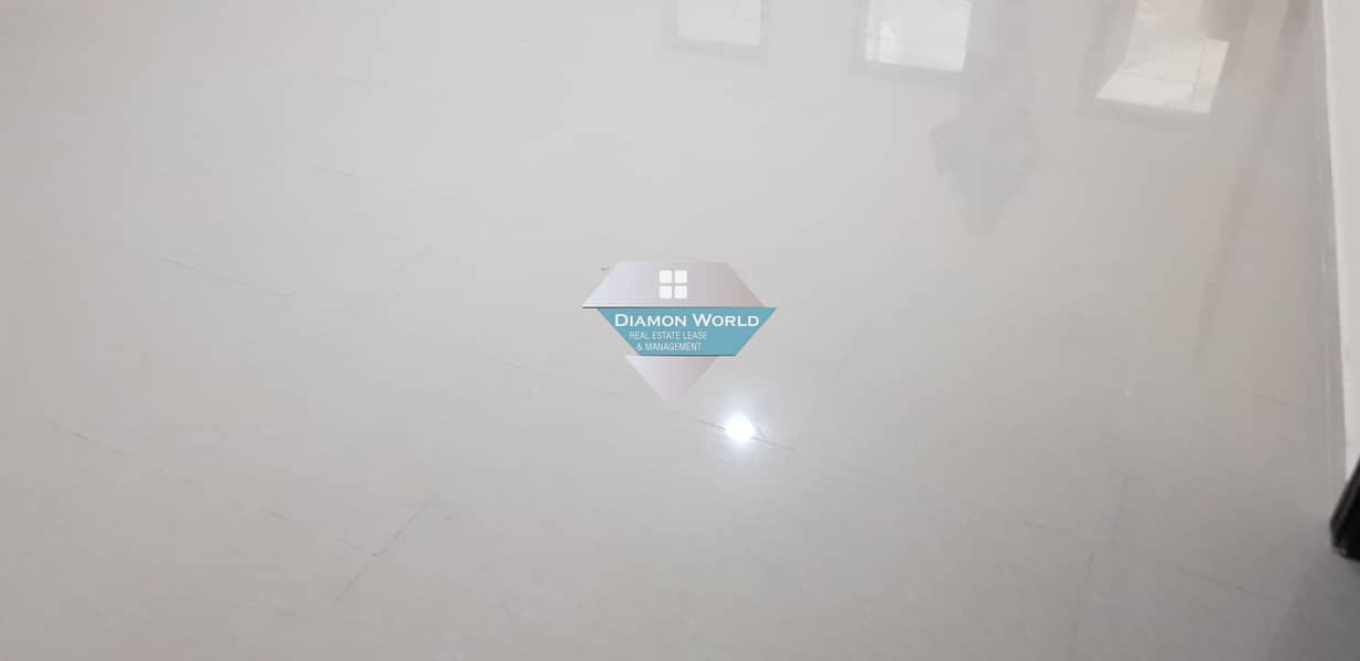 12 20190304_192031. jpg