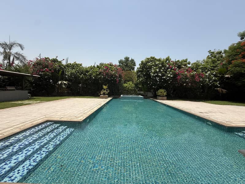 Pet Friendly Mansion with a Lake View Pet Friendly Mansion with a Lake View
