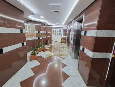 شقة 3 غرف نوم للايجار في بر دبي، دبي - IMG-20250627-WA0005. jpg